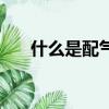 什么是配氣相位角（什么是配氣相位）