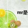 mr是什么橋架（mr是什么）