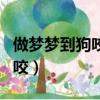 做夢夢到狗咬到手是什么意思（做夢夢到被狗咬）