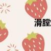 滑膛炮與線膛炮（滑膛炮）