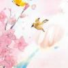 蒜瓣毛（蒜瓣）