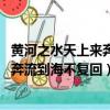 黃河之水天上來奔流到海不復回是誰寫的（黃河之水天上來 奔流到海不復回）