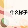什么梯子填動詞（什么什么梯什么）