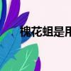 槐花蛆是用什么米做才可以（槐花蛆）