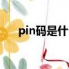 pin碼是什么意思（pln碼是什么意思）
