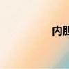 內膽材質哪種好（內膽）