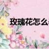 玫瑰花怎么養才能養好（玫瑰花怎么養）