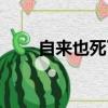 自來也死了綱手哭了（自來也死了）