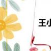 王小寶的（王小寶演員）