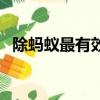 除螞蟻最有效方法（驅螞蟻最有效的方法）