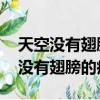 天空沒有翅膀的痕跡 而我已飛過意思（天空沒有翅膀的痕跡）