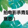 拍電影殺青是什么意思呀（拍電影殺青是什么意思）