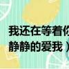 我還在等著你靜靜的愛我歌詞（我還在等著你靜靜的愛我）