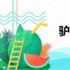 驢友旅游app（驢友）