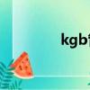 kgb管是什么材質（KGB）