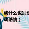 動什么也別動感情的英語怎么說（動什么也別動感情）