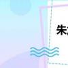 朱加偏旁（上加偏旁）
