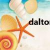 dalton分壓定律（分壓定律）