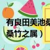 有良田美池桑竹之屬的之的用法（有良田美池桑竹之屬）