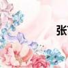 張藝騫年齡（張藝騫）