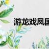 游龍戲鳳國語云資源（游龍戲鳳國語）