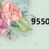 95501是什么電話（9550）