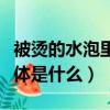 被燙的水泡里面的液體是什么（水泡里面的液體是什么）