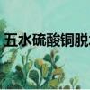 五水硫酸銅脫水屬于什么變化（五水硫酸銅）