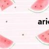 aries中文意思（aries）