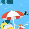 孔雀拼音（母雞拼音）