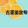古董鑒定專家在線咨詢（古董鑒定專家）