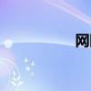 網隊球員名單（網隊）