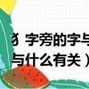 犭字旁的字與什么有關系一年級（犭字旁的字與什么有關）