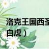 洛克王國西圣獸白虎超進化（洛克王國西圣獸白虎）