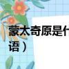 蒙太奇原是什么上的用語（蒙太奇原是什么術語）