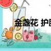 金盞花 護膚（the face shop金盞花）