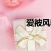 愛被風吹過歌曲（愛被風吹過）
