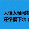 大便太硬馬桶堵了但還緩慢下水（馬桶堵了但還緩慢下水）