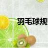 羽毛球規則視頻講解（羽毛球規則）