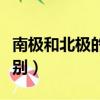 南極和北極的區別英語作文（南極和北極的區別）