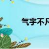 氣宇不凡形容女人嗎（氣宇不凡）