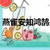 燕雀安知鴻鵠是什么意思（鴻鵠是什么意思）