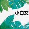 小白文件管理器tv版（小白文）