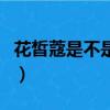 花皙蔻是不是純植物的（花皙蔻是三無產品嗎）