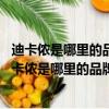迪卡儂是哪里的品牌 迪卡儂屬于什么檔次→十大品牌網（迪卡儂是哪里的品牌）