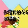 你是我的花朵演唱會是哪一集（你是我的花朵演唱會）