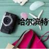 哈爾濱特色美食（哈爾濱特色小吃）