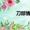 刀郎情人原版mV（刀郎情人）