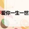 愛你一生一世英文字母（愛你一生一世英文）