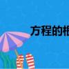 方程的根和解的區別（方程的根）